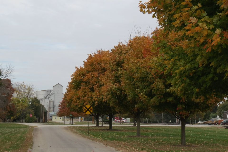 Fall Hill St.
