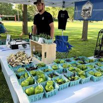 Farm Fresh Produce