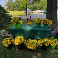Flowers at Market
